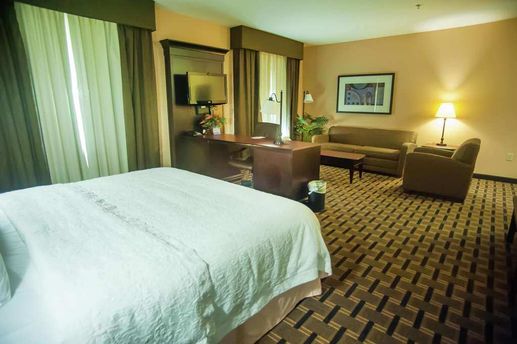 Hampton Inn & Suites Palestine Szoba fotó